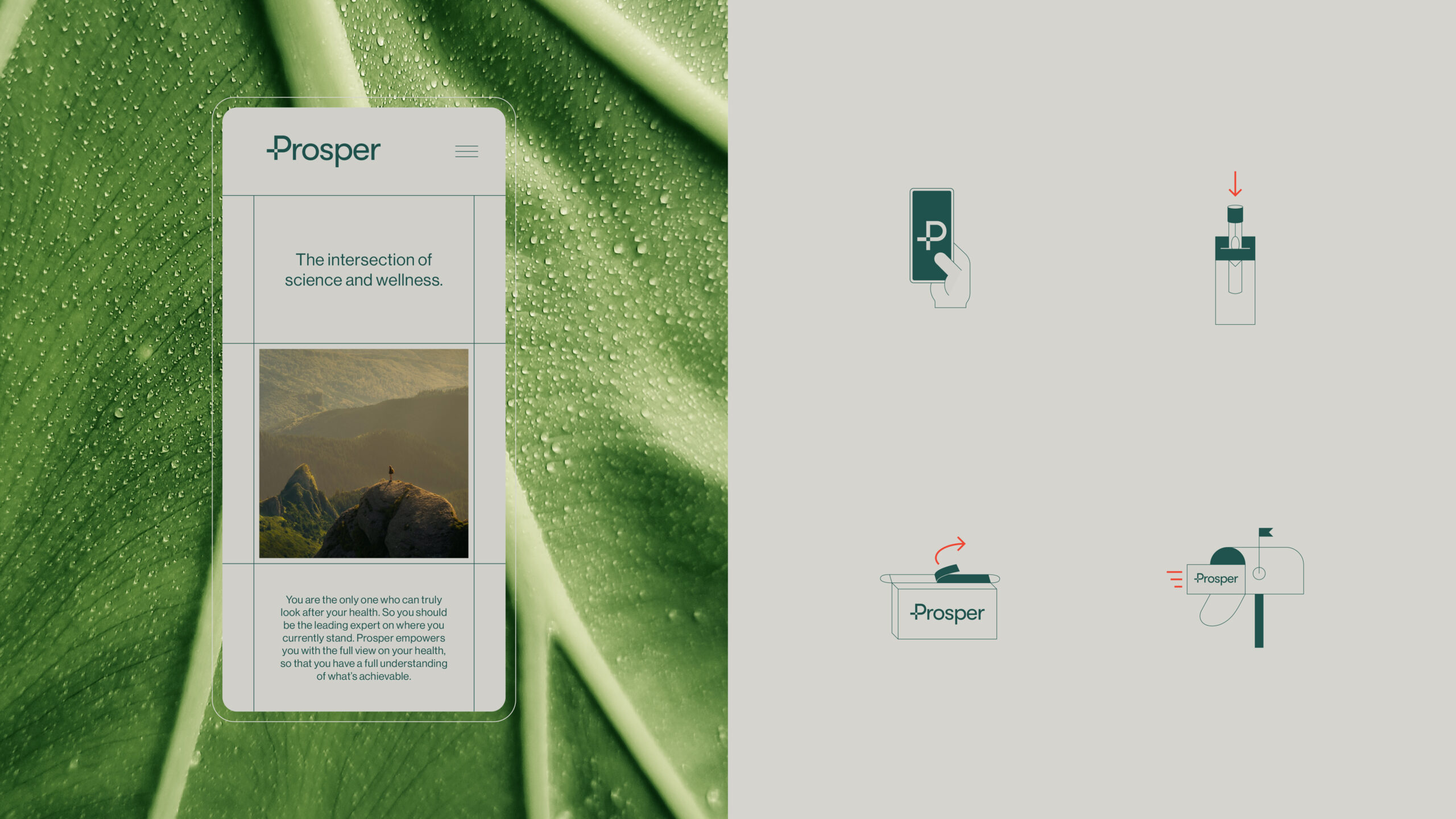 Prosper_CaseStudy-8