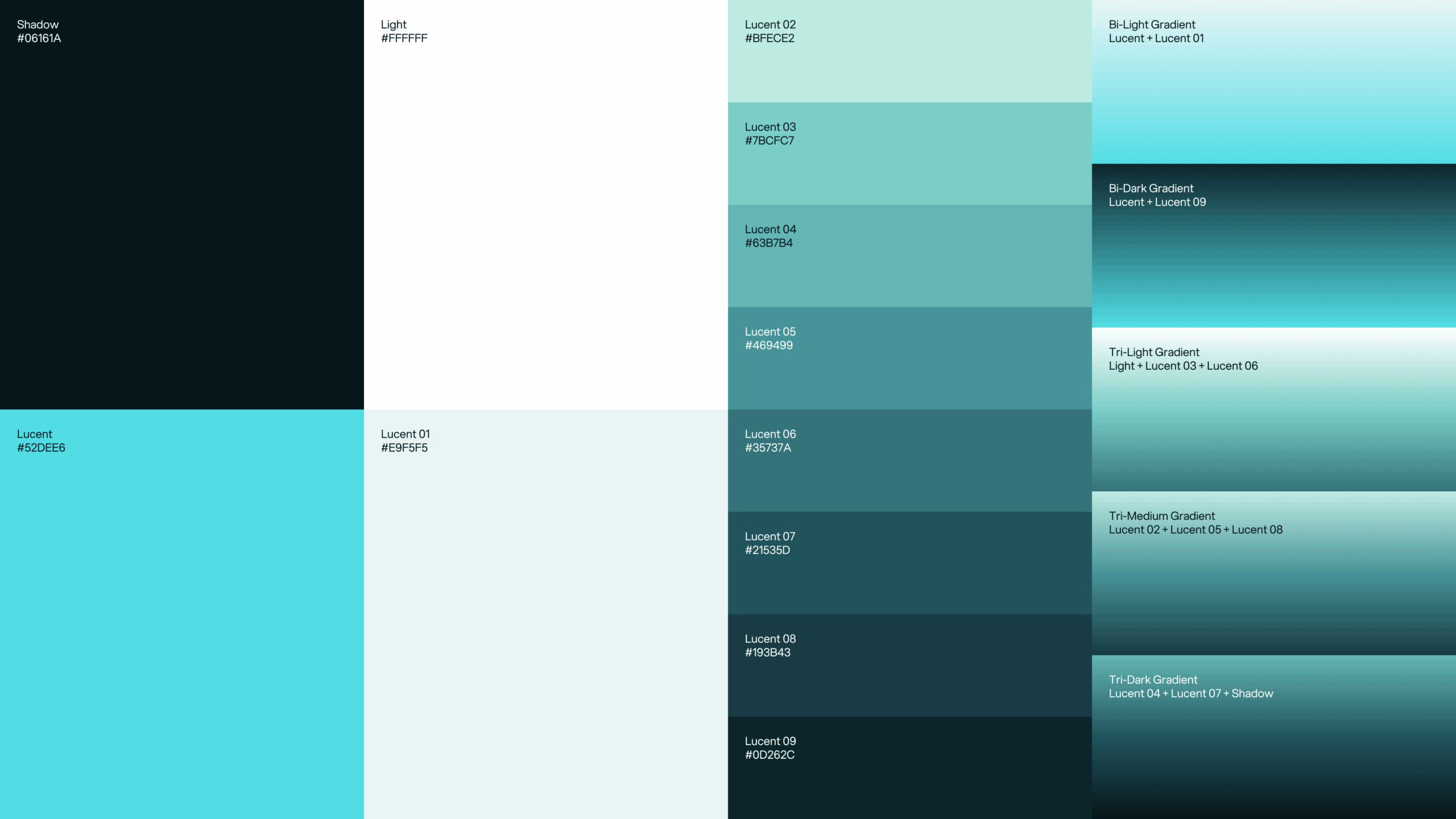 11-Lucite-CaseStudy-ColorPalette