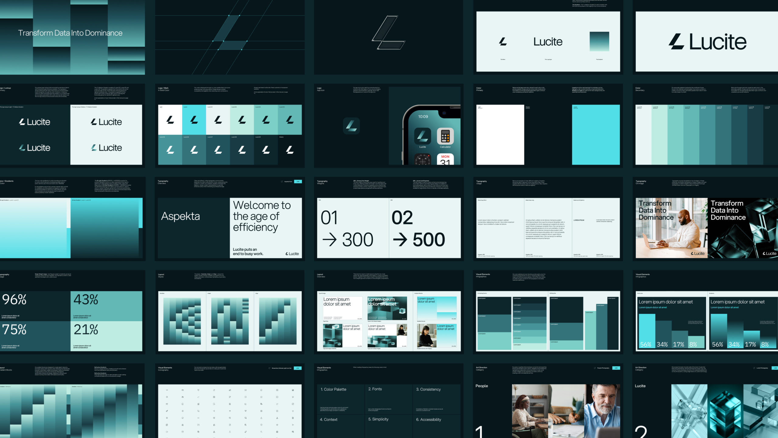 22-Lucite-CaseStudy-Guidelines