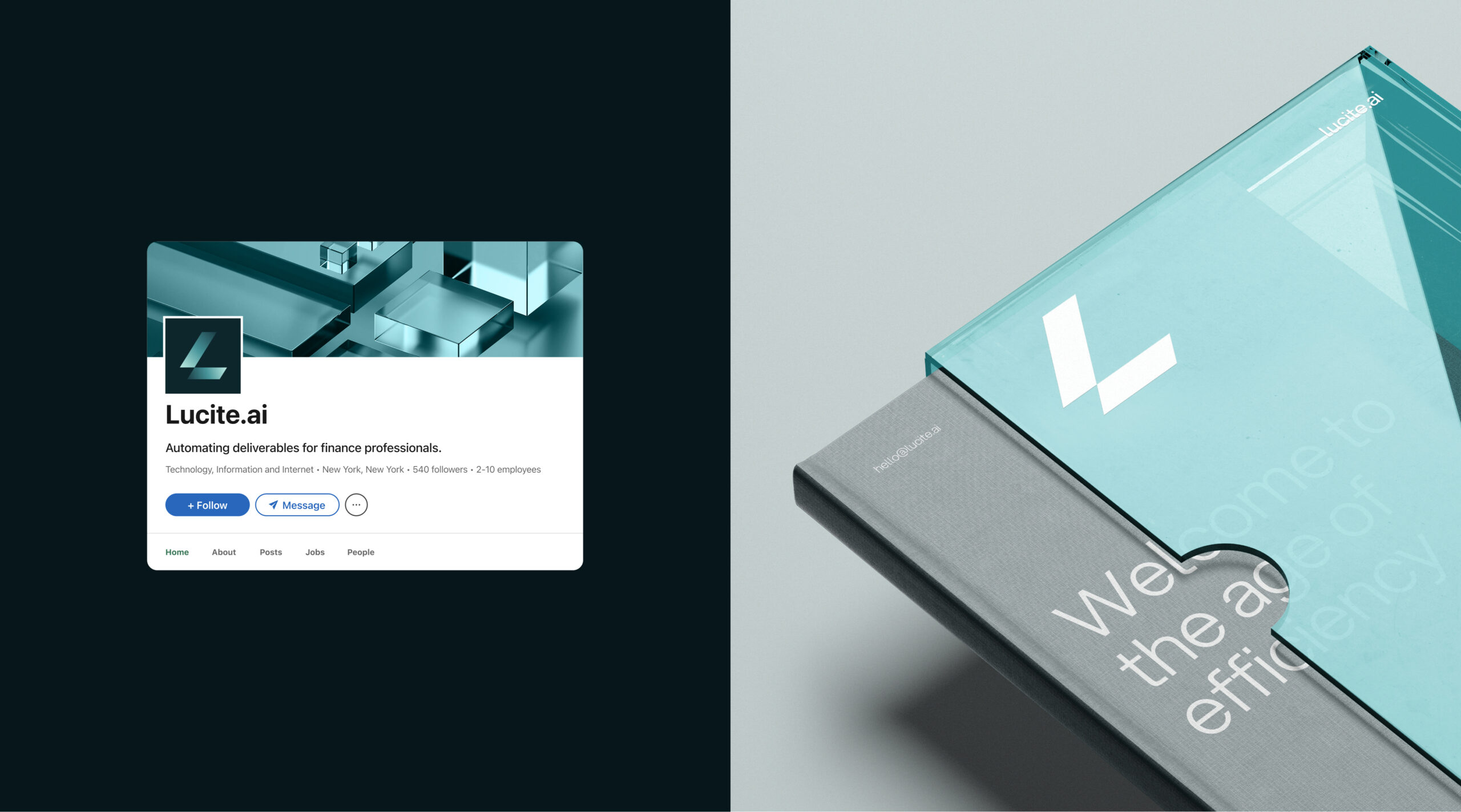 8-Lucite-CaseStudy-LI-Book